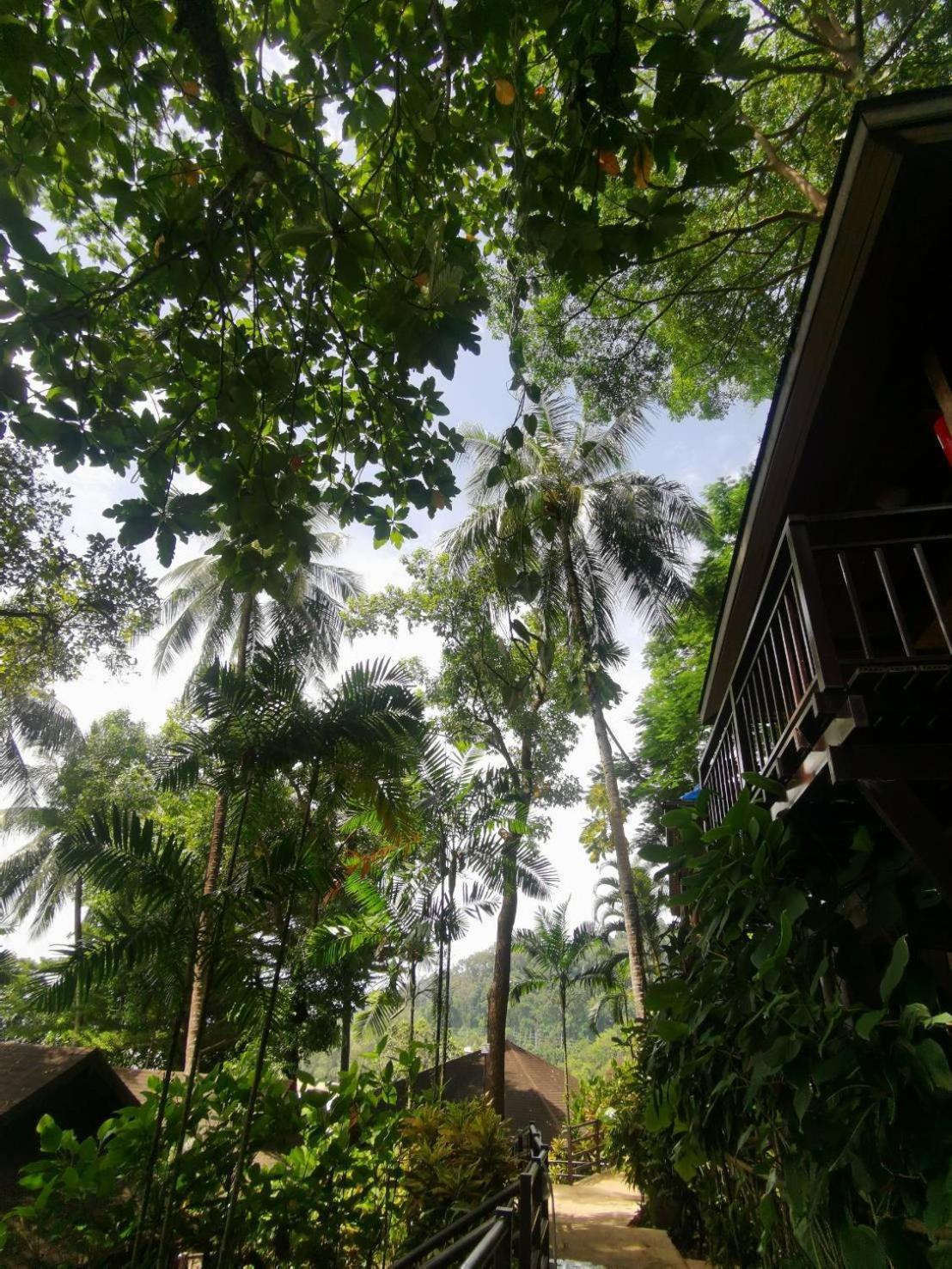 Baan Krating Khao Lak Resort - Sha Plus Ngoại thất bức ảnh