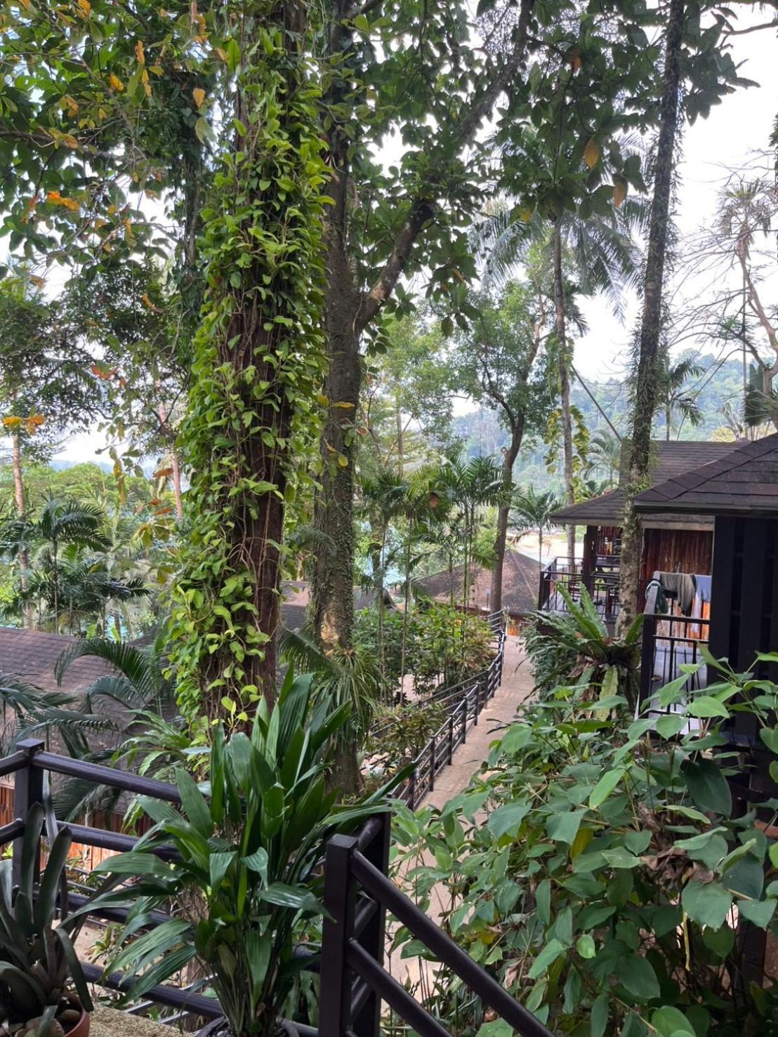 Baan Krating Khao Lak Resort - Sha Plus Ngoại thất bức ảnh