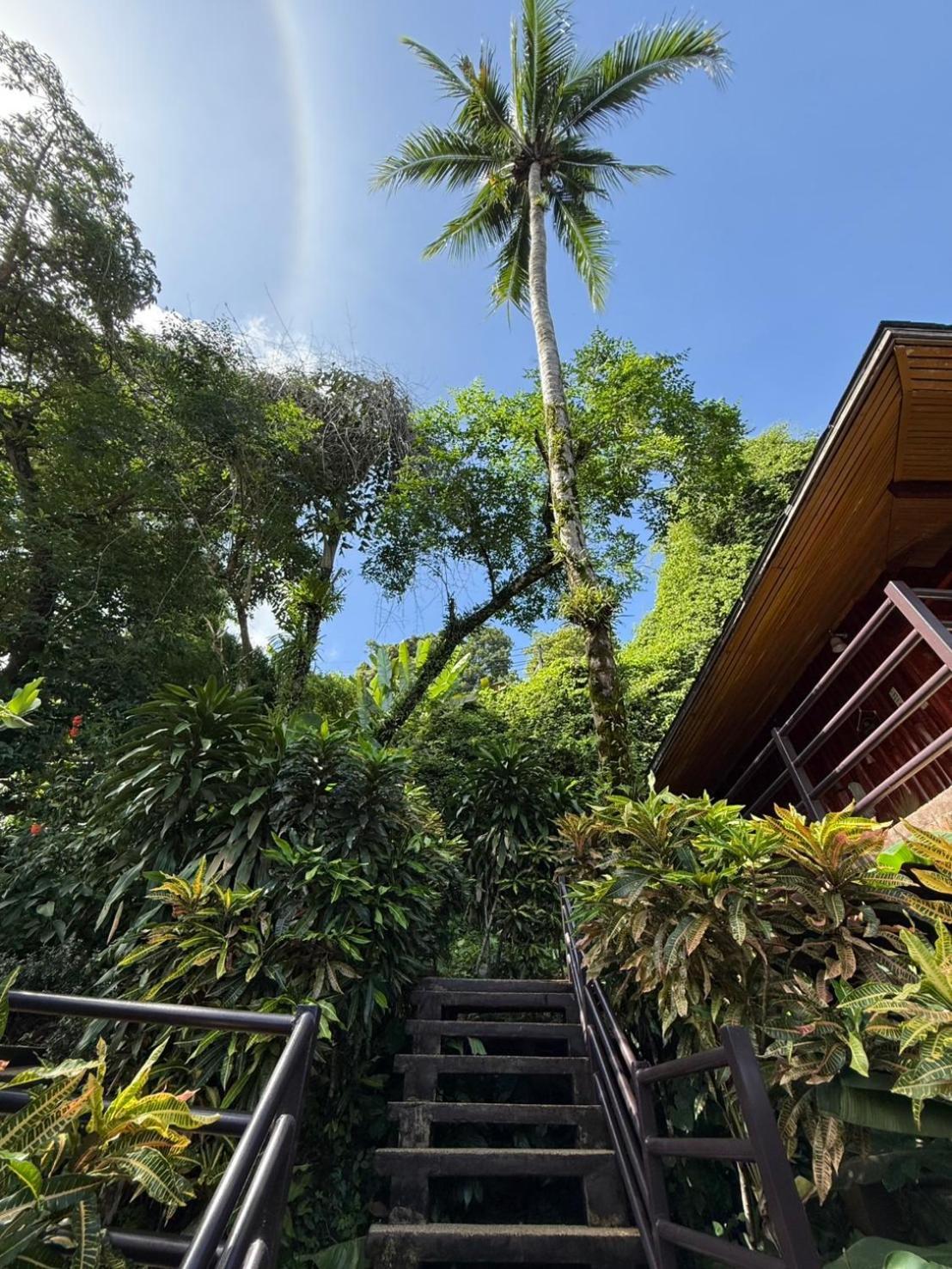 Baan Krating Khao Lak Resort - Sha Plus Ngoại thất bức ảnh