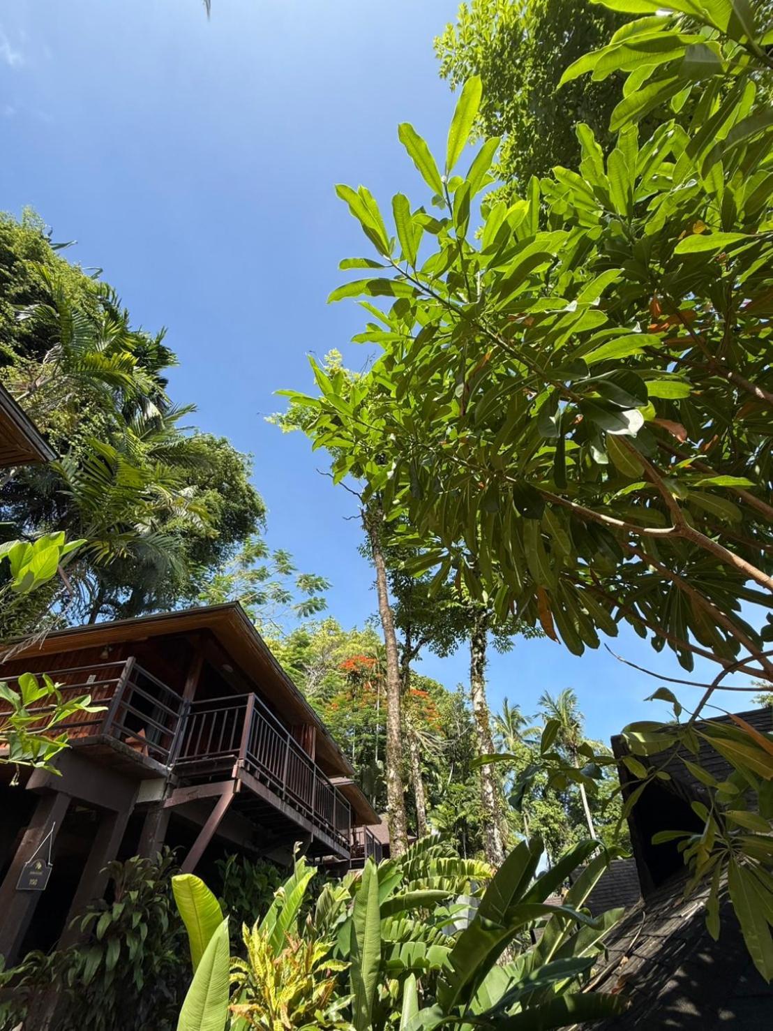 Baan Krating Khao Lak Resort - Sha Plus Ngoại thất bức ảnh